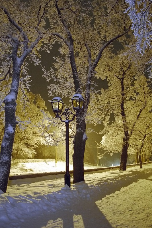 Фотографія Ночь перед Рождеством / Николай Турчин / photographers.ua