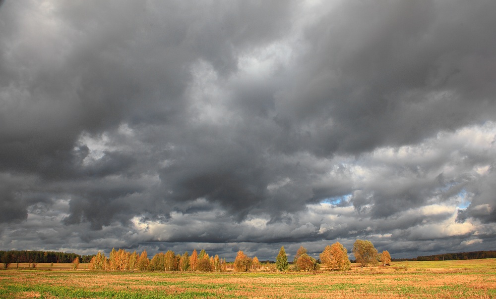 Фотографія Уж небо осенью дышало... / Николай Турчин / photographers.ua
