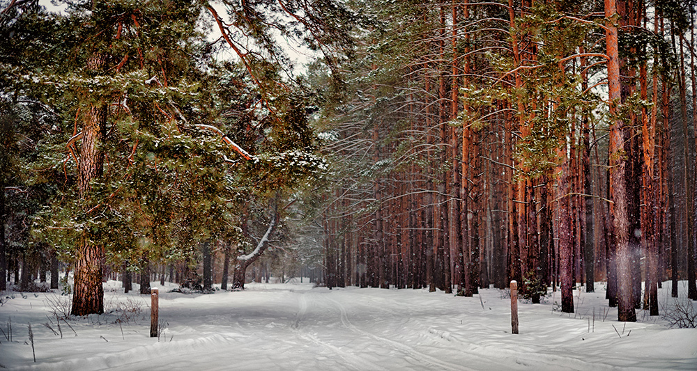 Фотографія Пейзаж / Голубцов Андрій / photographers.ua