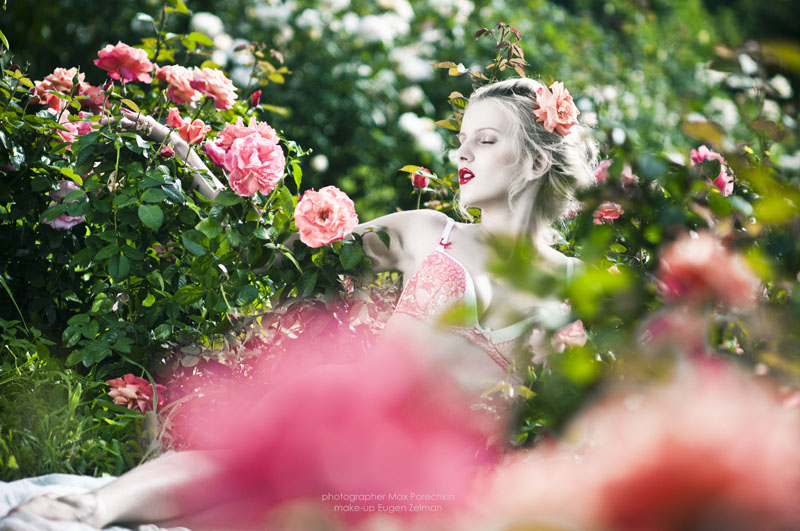 Фотографія Roses / Макс Поречкин / photographers.ua