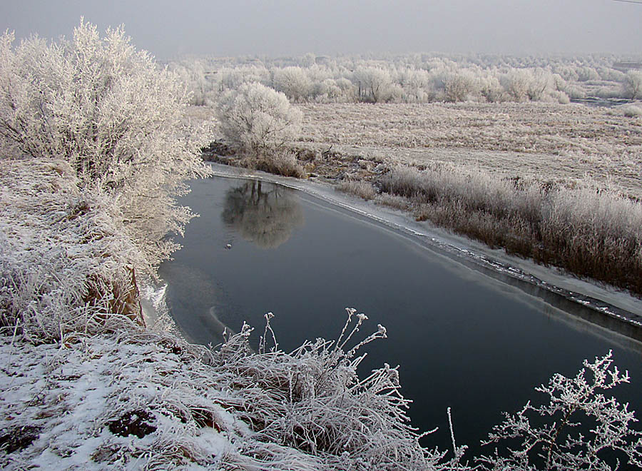 Фотографія Над рікою / Rechnoy skitalec / photographers.ua