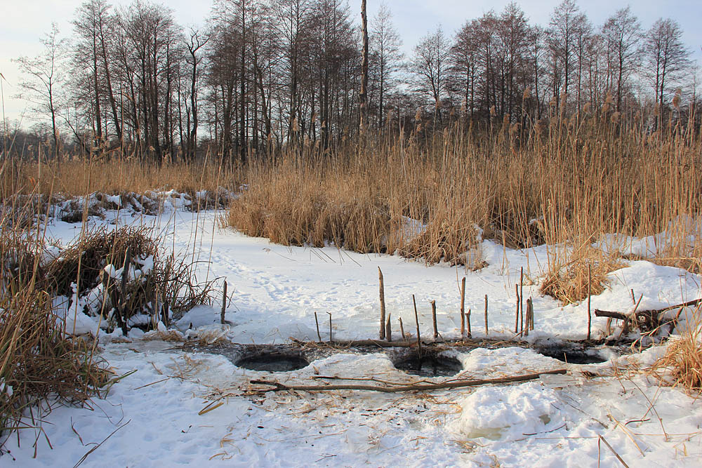 Фотографія Зимовий Стохід. Рибацька загата з вершами / Rechnoy skitalec / photographers.ua