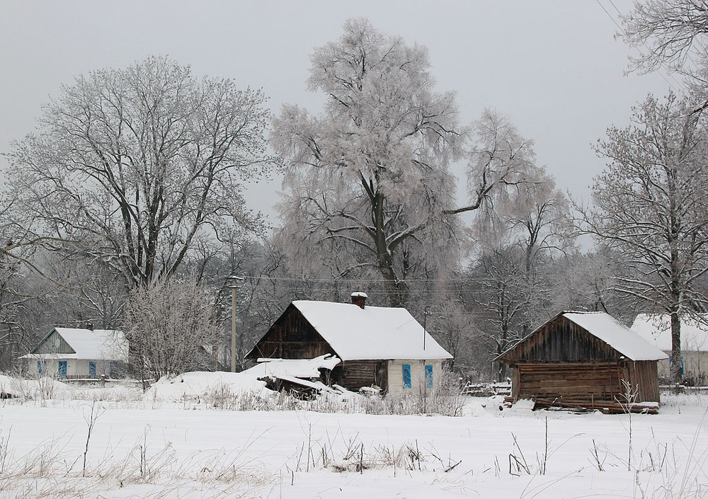 Фотографія Волинська зима / Rechnoy skitalec / photographers.ua