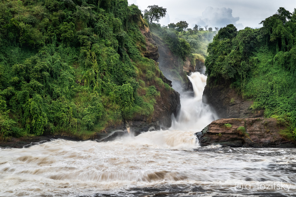 Фотографія Murchison Falls / Александр Лозицкий / photographers.ua