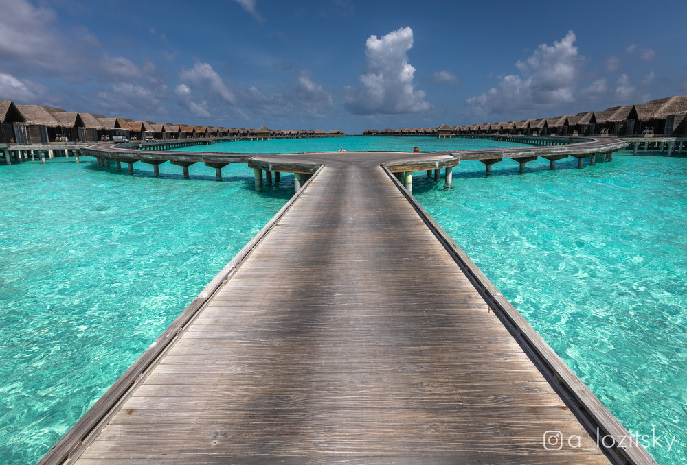 Фотографія Maldives / Александр Лозицкий / photographers.ua