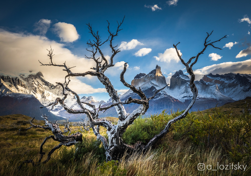 Фотографія Patagonia / Александр Лозицкий / photographers.ua