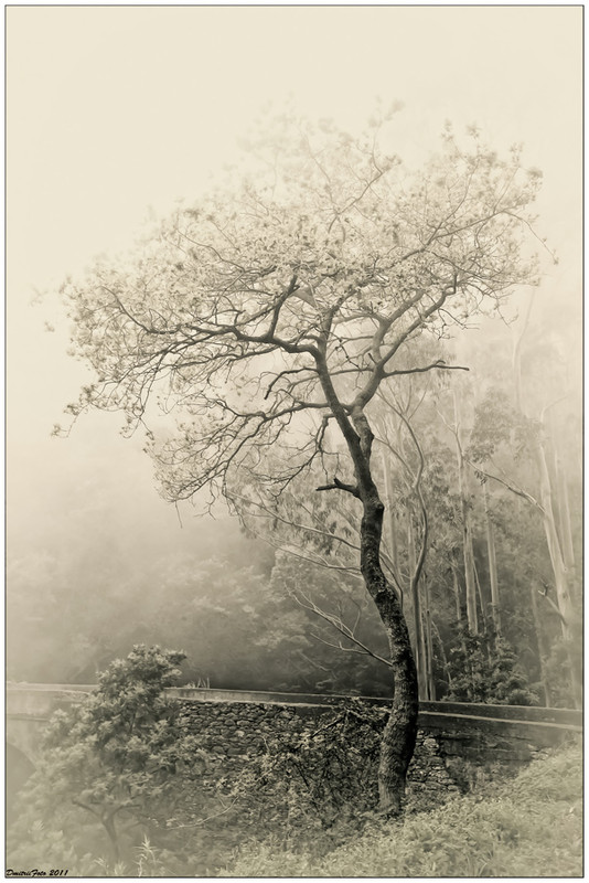 Фотографія ### / Дмитрий Мураль / photographers.ua