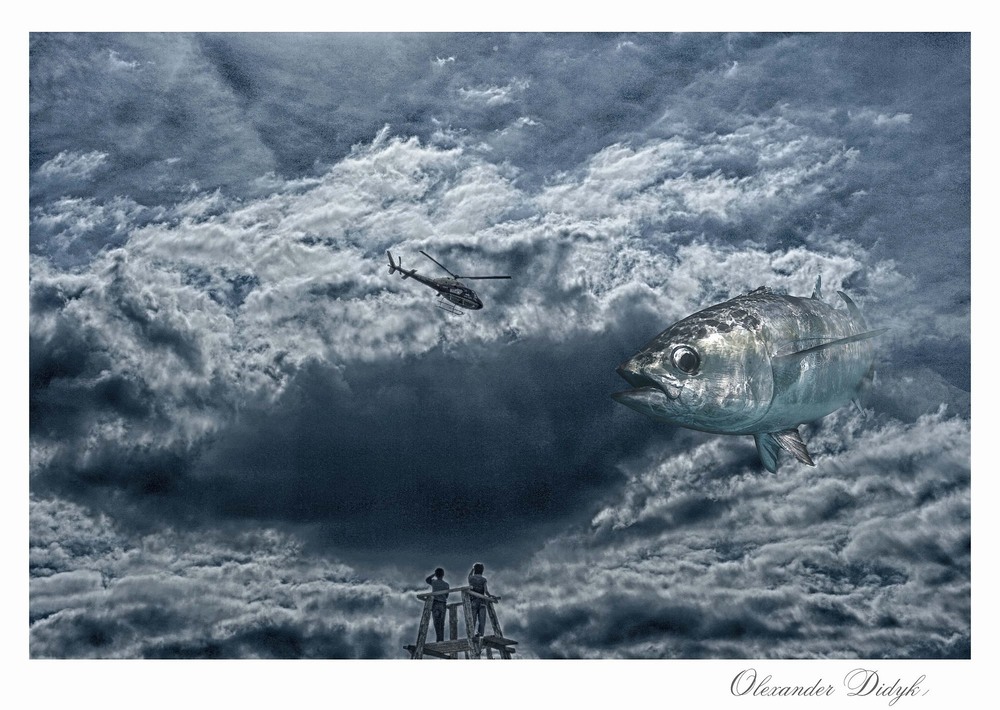 Фотографія Жителі Небесного Океану... / Olexander Didyk / photographers.ua