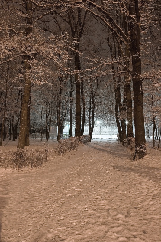 Фотографія Вечер в городском парке... / Olexander Didyk / photographers.ua