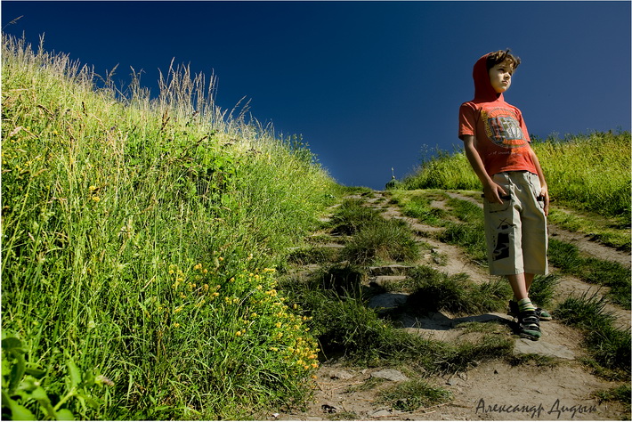 Фотографія В разливах трав .... / Olexander Didyk / photographers.ua