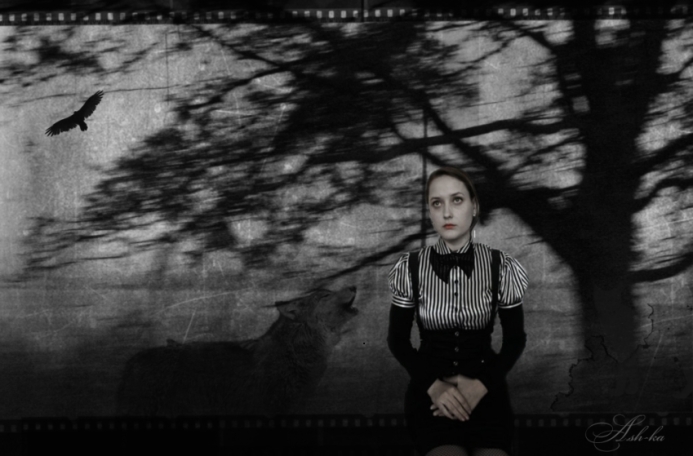 Фотографія мысли о мечте / Шаровская-Константинова Алина / photographers.ua