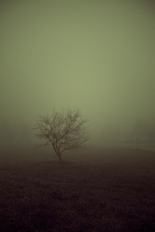 Фотографія О настроенческих влияниях тумана / Alex Marchuk / photographers.ua