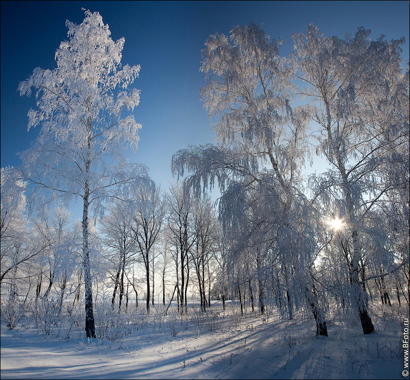 Фотографія Зимняя панорама / Фотограф Строганов Алексей / photographers.ua