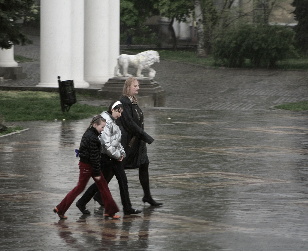Фотографія Весенний дождь (версия без зонта, но со скрытой динамикой). ;) / Виктор Вёлунд / photographers.ua