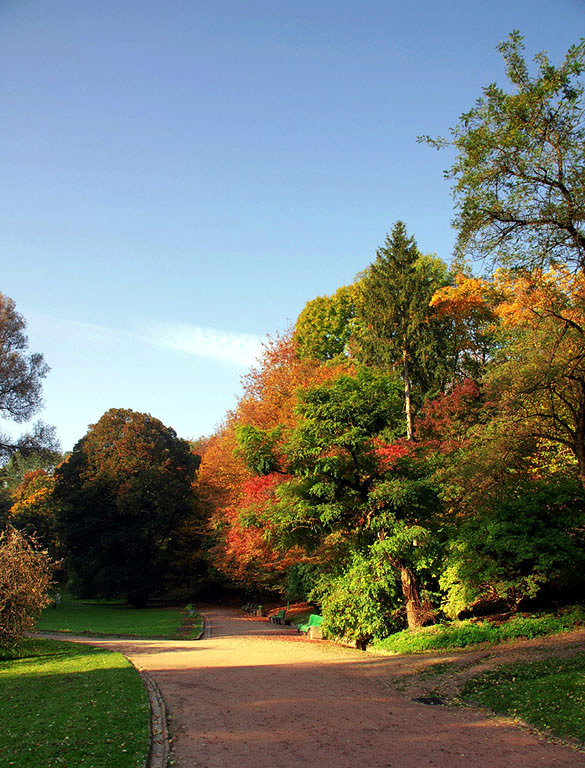 Фотографія парк / Yaruk / photographers.ua