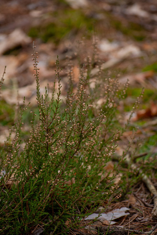 Фотографія Разное / Sashe Kultashev / photographers.ua
