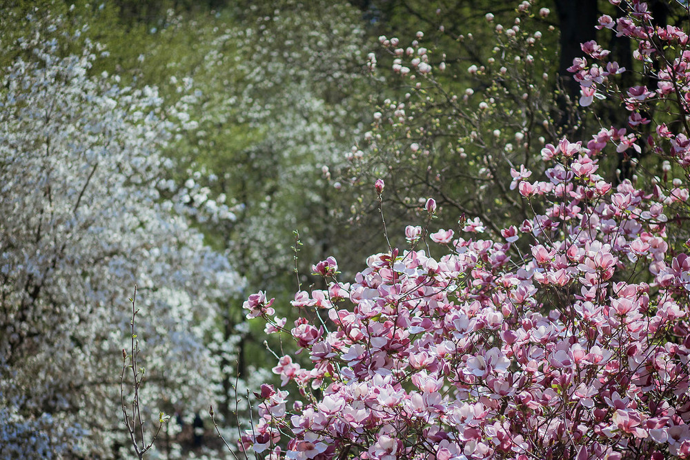 Фотографія Разное / Sashe Kultashev / photographers.ua