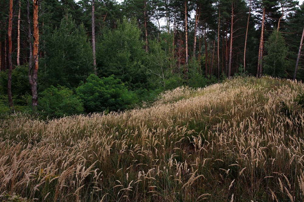 Фотографія Пейзаж / Sashe Kultashev / photographers.ua