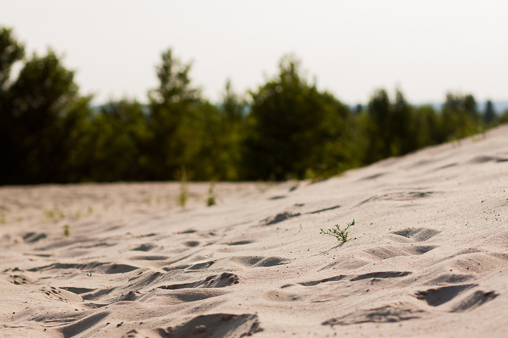 Фотографія Пейзаж / Sashe Kultashev / photographers.ua