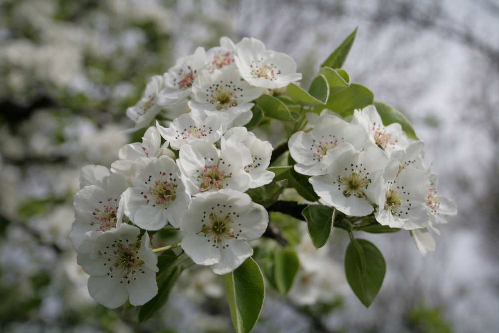 Фотографія Разное / Sashe Kultashev / photographers.ua