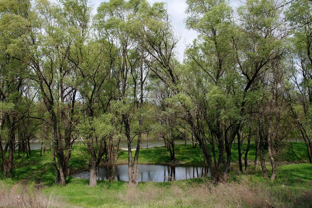 Фотографія Пейзаж / Sashe Kultashev / photographers.ua