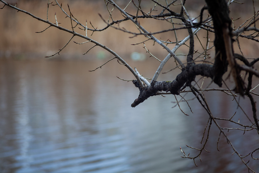 Фотографія Разное / Sashe Kultashev / photographers.ua