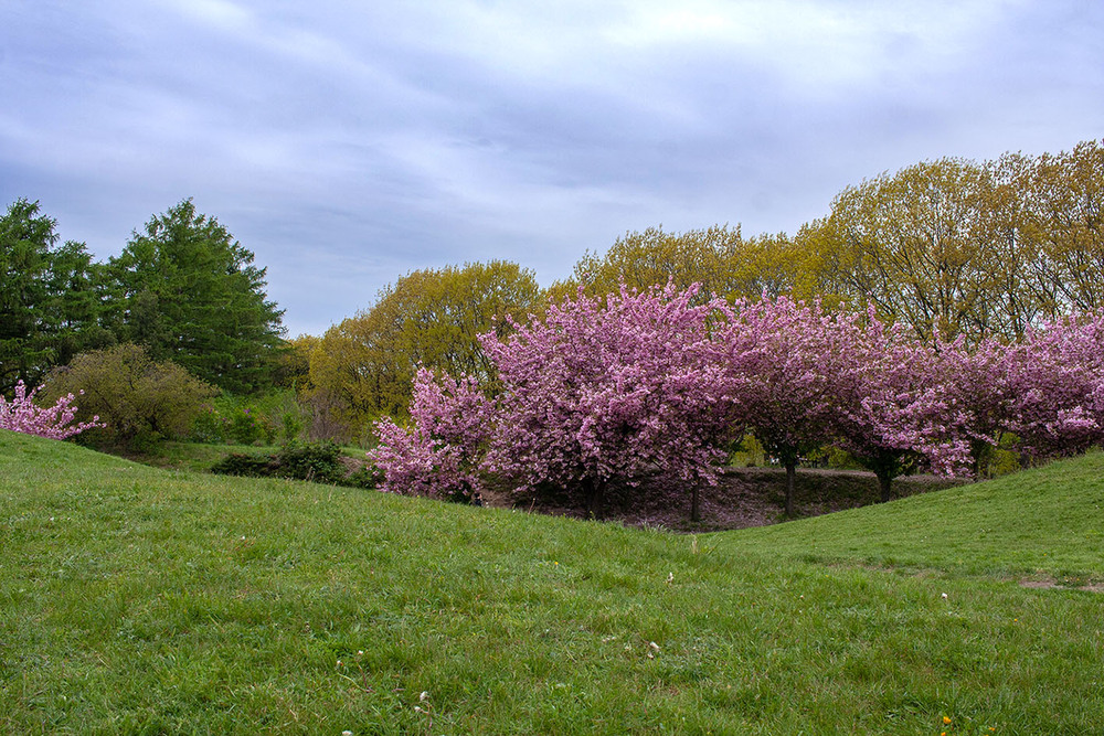 Фотографія Пейзаж / Sashe Kultashev / photographers.ua