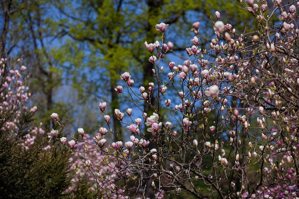 Фотографія Разное / Sashe Kultashev / photographers.ua