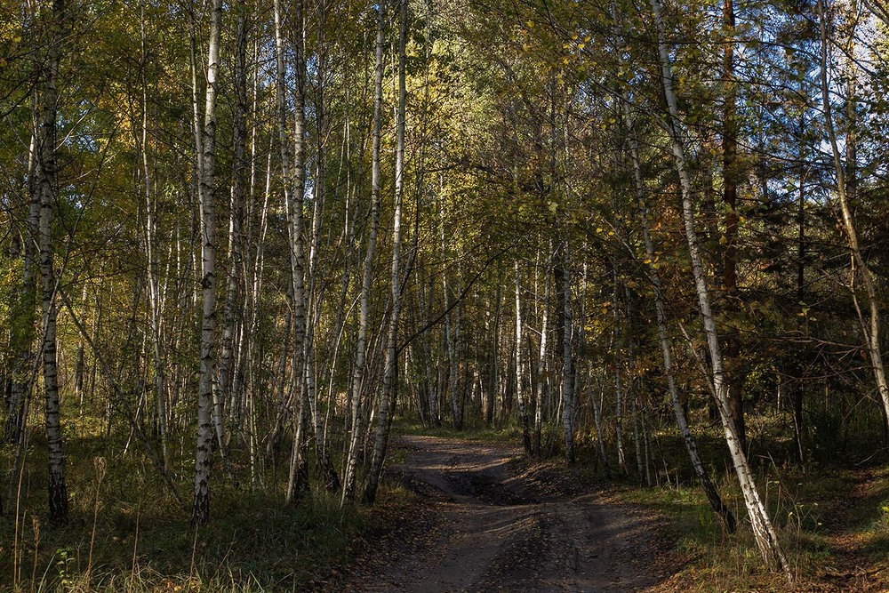 Фотографія Пейзаж / Sashe Kultashev / photographers.ua