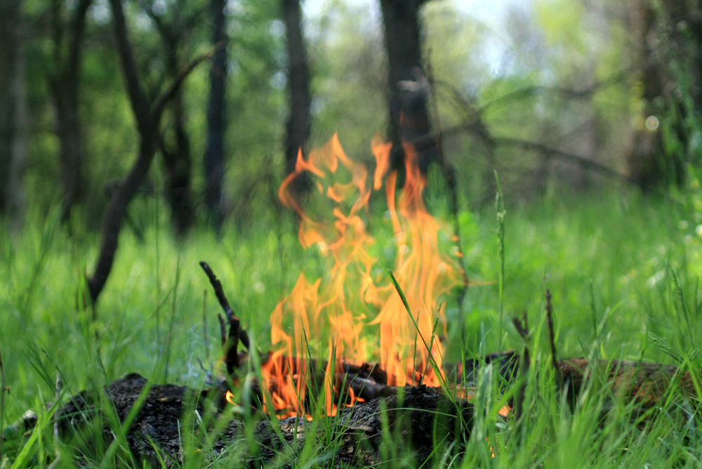 Фотографія Разное / Sashe Kultashev / photographers.ua