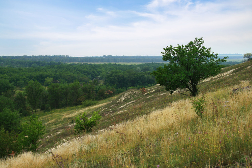 Фотографія Пейзаж / Sashe Kultashev / photographers.ua