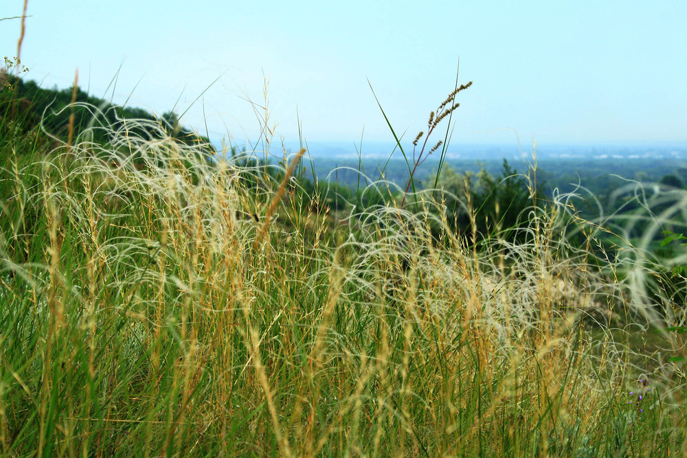 Фотографія Пейзаж / Sashe Kultashev / photographers.ua