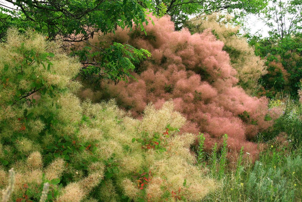 Фотографія Пейзаж / Sashe Kultashev / photographers.ua