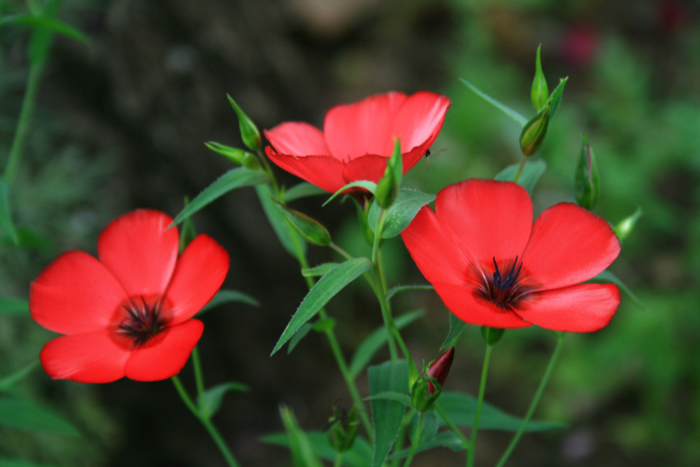 Фотографія Разное / Sashe Kultashev / photographers.ua