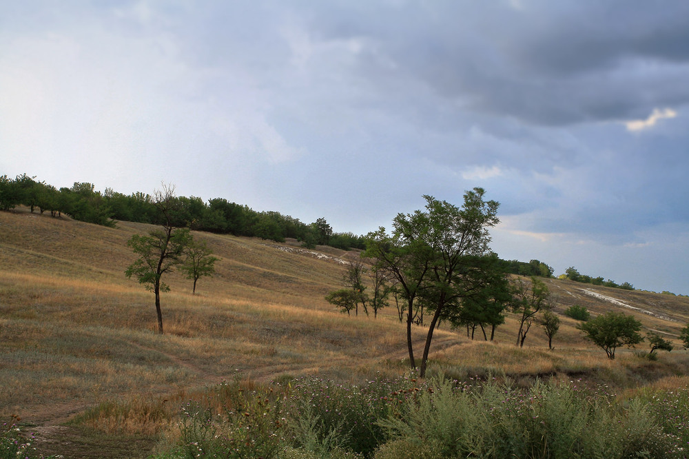 Фотографія Пейзаж / Sashe Kultashev / photographers.ua