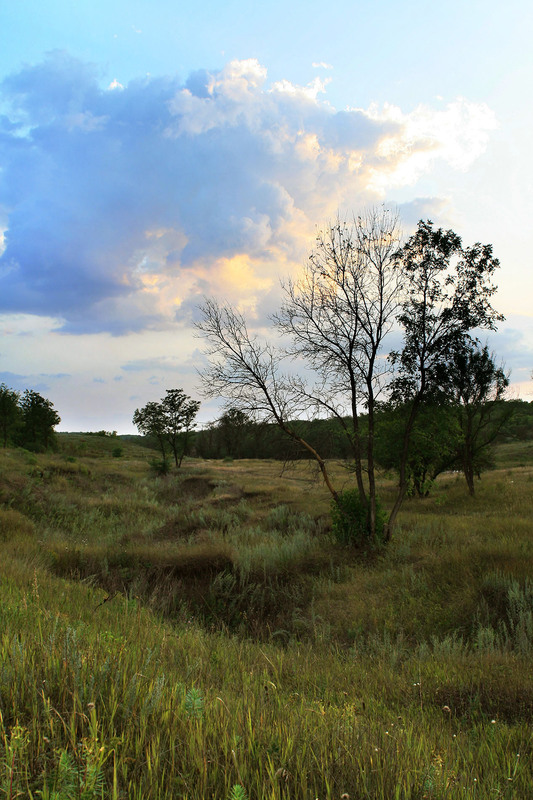 Фотографія Пейзаж / Sashe Kultashev / photographers.ua