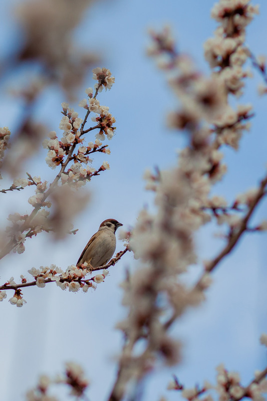 Фотографія Разное / Sashe Kultashev / photographers.ua
