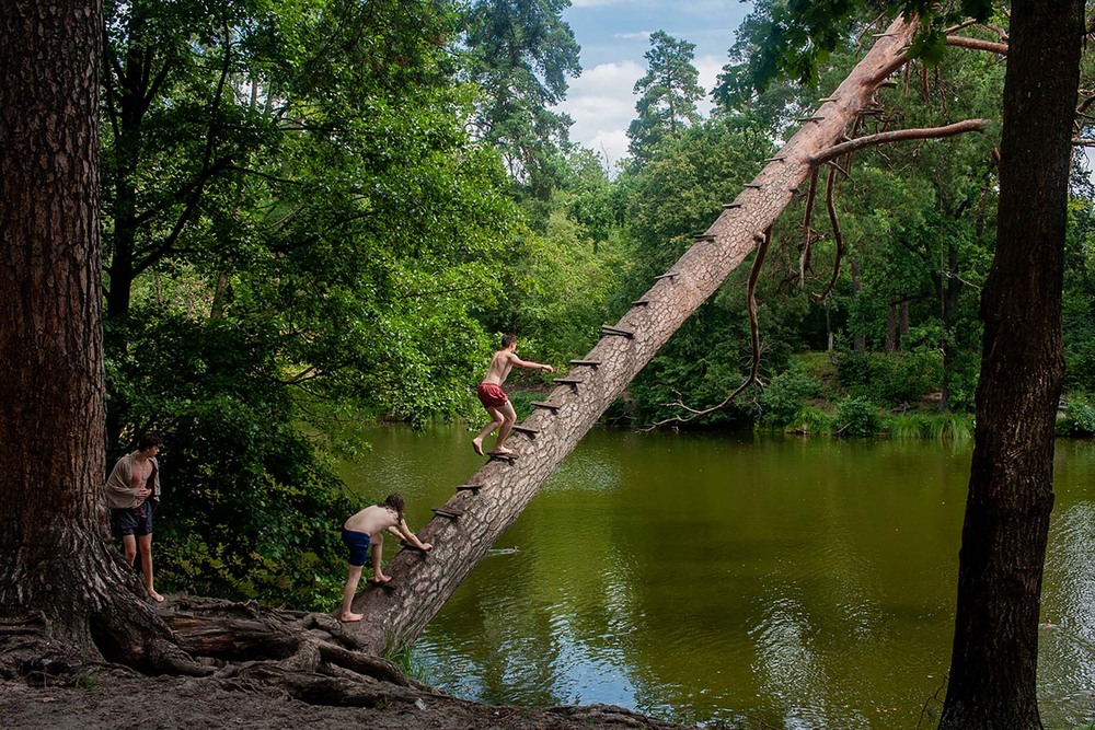 Фотографія на згадку про дерево / Sashe Kultashev / photographers.ua