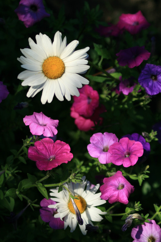 Фотографія Разное / Sashe Kultashev / photographers.ua