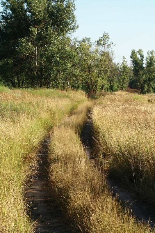 Фотографія Пейзаж / Sashe Kultashev / photographers.ua