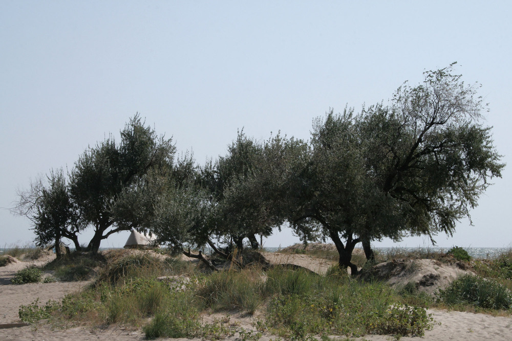 Фотографія Пейзаж / Sashe Kultashev / photographers.ua