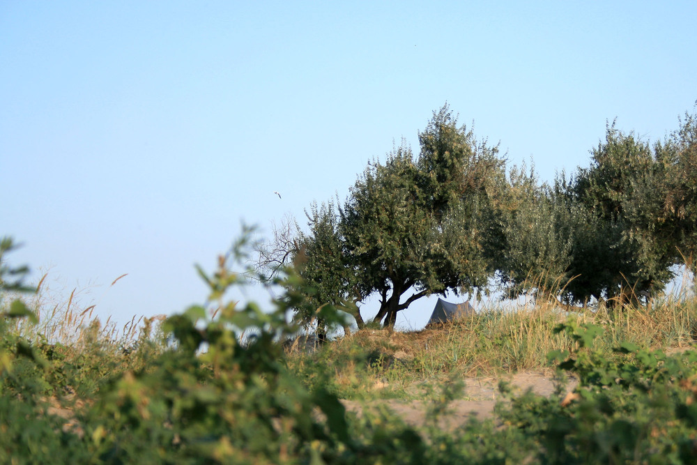 Фотографія Пейзаж / Sashe Kultashev / photographers.ua