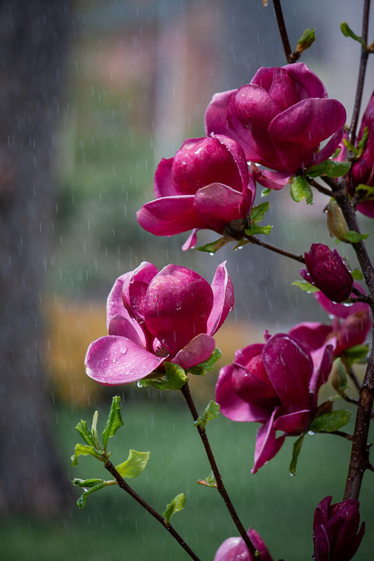 Фотографія Разное / Sashe Kultashev / photographers.ua