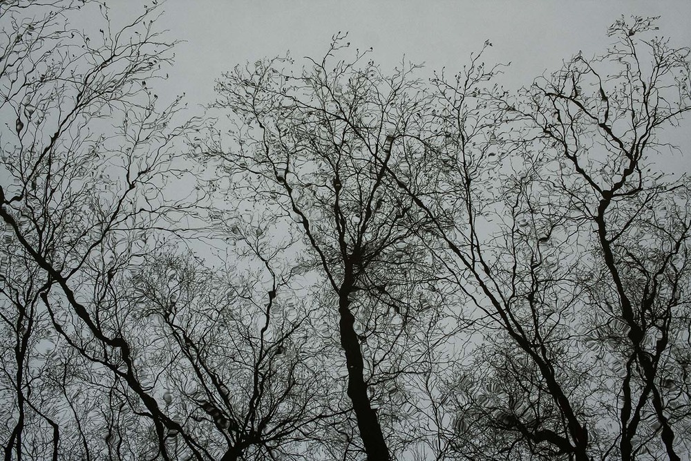 Фотографія відображення / Sashe Kultashev / photographers.ua