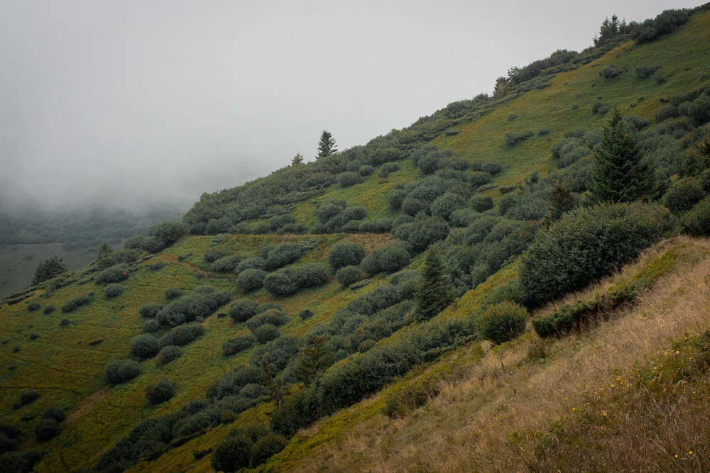 Фотографія Пейзаж / Sashe Kultashev / photographers.ua