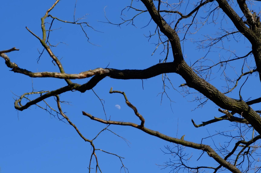 Фотографія Разное / Sashe Kultashev / photographers.ua