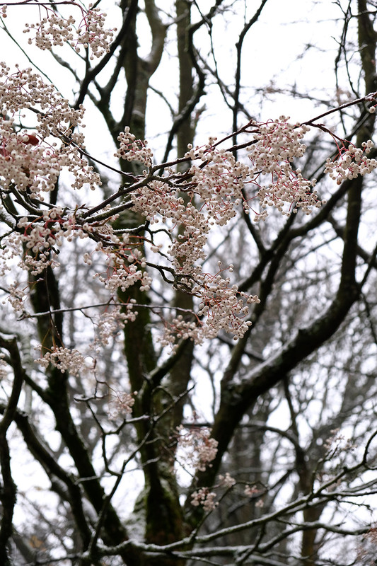 Фотографія Разное / Sashe Kultashev / photographers.ua