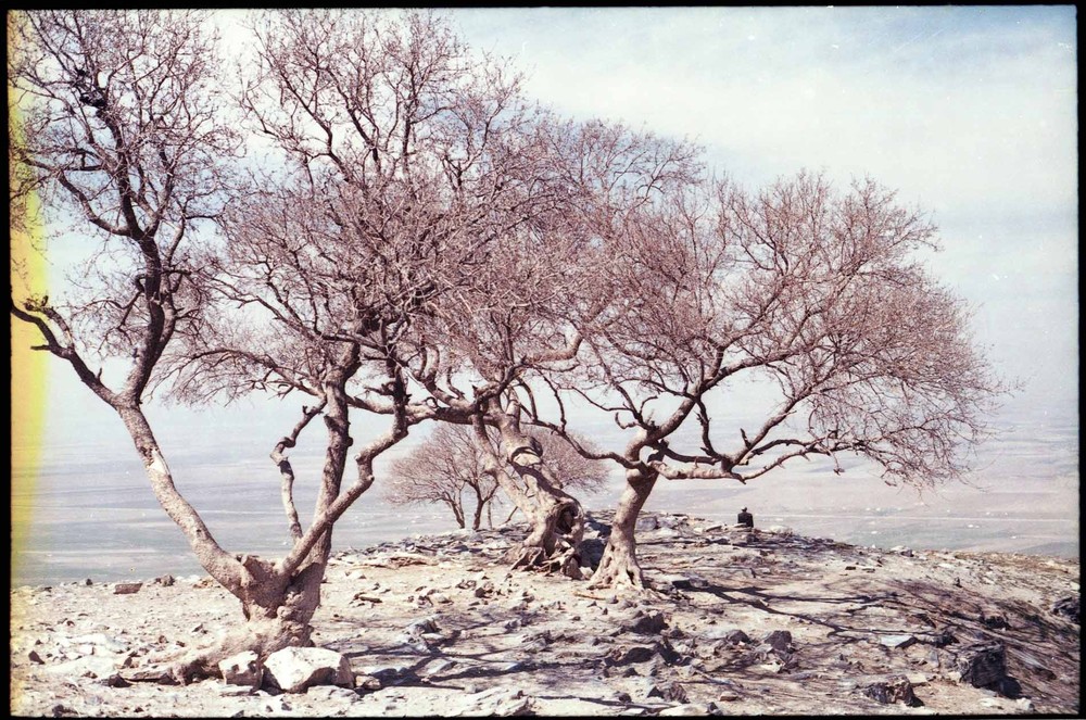 Фотографія Разное / Aydar / photographers.ua