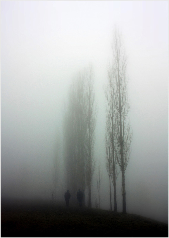 Фотографія ...Там за туманами любят нас и ждут... / Aydar / photographers.ua