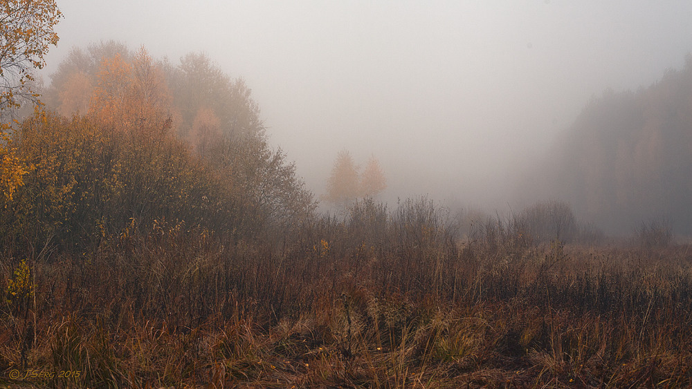 Фотографія Ранковий туман / TSerg (Сергій) / photographers.ua